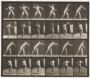 Planche 286. Base-ball; Lancer