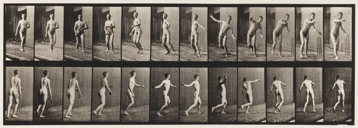 Planche 289. Cricket ; lancer à bras rond, 1885