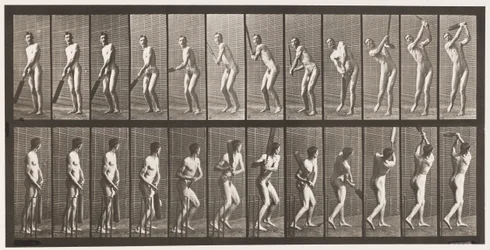 Cricket; Battre; Conduire, 1885
