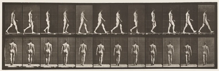 Planche 2. Marche
