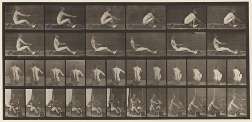 Planche 328. Aviron