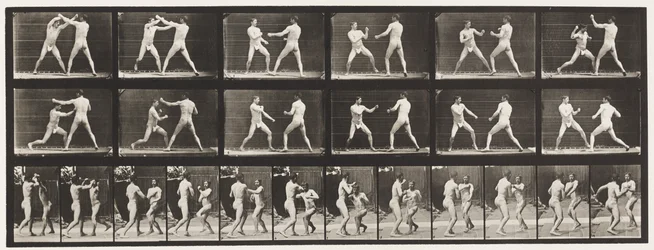 Planche 329. Boxe; (Chaussures)