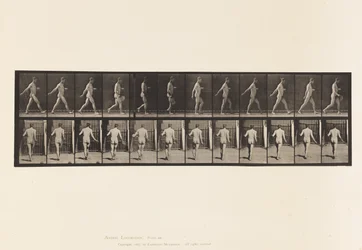 Planche 389. Fermier, semant des graines, 1872-1885