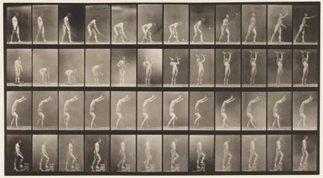 Planche 488. A, Tennis sur gazon; B, Haltères; C, Marche sur les mains, 1872-1885
