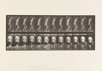 Planche 558. Paraplégie; partielle; marche, 1885