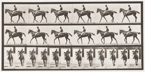 Marche; Selle; Jument baie pur-sang Annie G., 1885