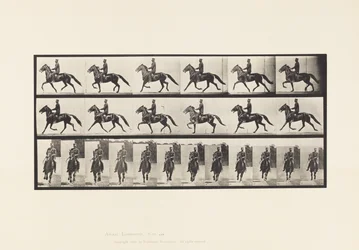 Planche 593. Balancement (Amble); Selle; Cheval Brun Pronto