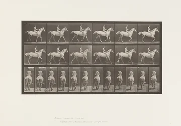 Planche 602. Trot; À cru; Cavalier, 43, Nu; Cheval gris clair