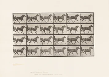 Planche 607. Trotter; Sulky; Jument baie, Lizzie M.