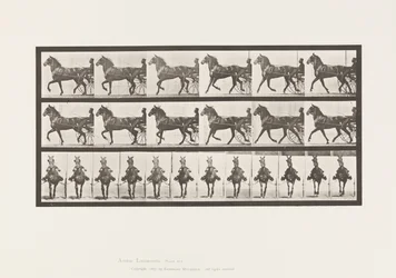 Planche 612. Trot; Sulky; Cheval Bai, Dereumd