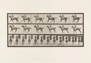 Planche 621. Petit Galop; Selle; Jument Pur-Sang Bai Annie 6