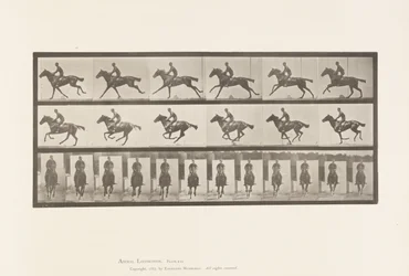 Planche 631. Galop; Selle; Cheval Pur-Sang Bai Bouquet