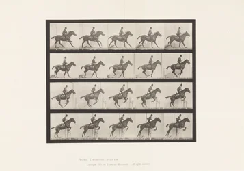 Planche 636. Sauter une Haie; Selle; Préparation pour le Saut