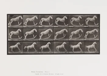 Planche 649.A, Frelon, Balançant; B, Aigle, Rouleau de Baril, Etc.