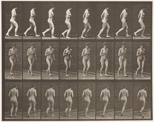 Planche 70. Courir, 1872-1885