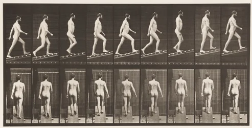 Planche 75. Monter une pente, angle 1 sur 4, 1872-1885