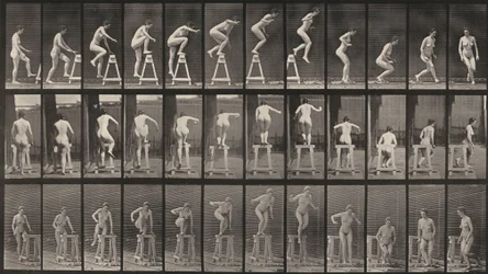 Planche numéro 171. Monter sur un tréteau, sauter en bas et se retourner