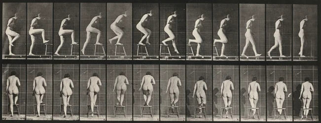 Planche numéro 180. Marcher sur et par-dessus une chaise