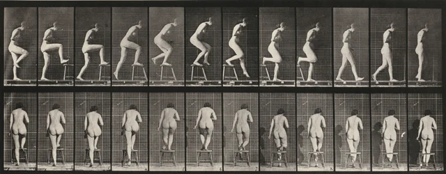 Planche numéro 180. Monter sur une chaise et la franchir