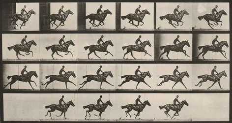 Planche numéro 625. «Bouquet» au galop