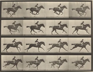 Planche numéro 626. Galop, jument baie pur-sang, Annie G.