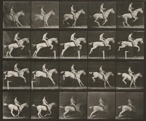 Planche numéro 642. « Pandora » sautant une haie, sellée ; cavalier nu