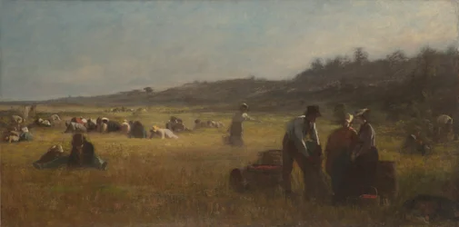 Cueilleurs de canneberges