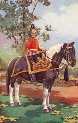 Cheval de tambour des 7e Dragons