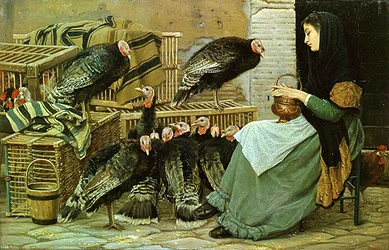 Marché de dindes de Noël à Rome