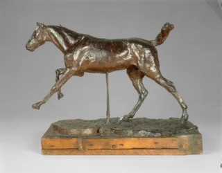Cheval galopant sur le pied droit