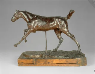 Cheval galopant sur le pied droit, fin des années 1880