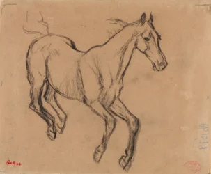 Cheval au galop