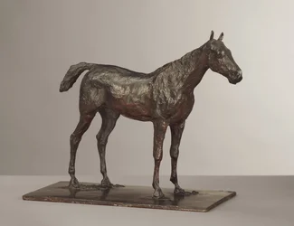 Cheval debout