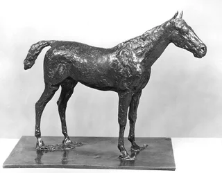 Cheval debout