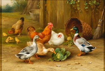 Canards et poules dans une cour