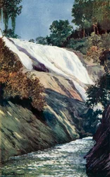 Une cascade à Tijuca, Rio
