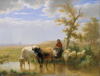 French : Vaches et moutons
