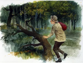 Littérature pour enfants : des Apennins aux Andes. Un jeune garçon seul dans la forêt (dessin)
