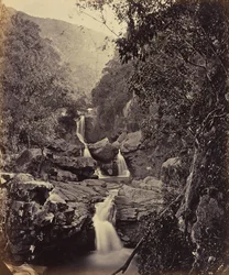 Chutes de lumière. Coonoor Ghant