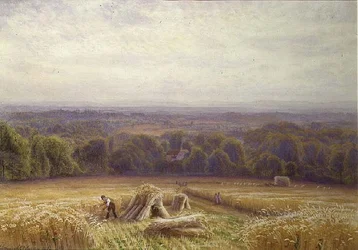 Moisson