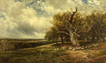 Paysage - À travers la vallée