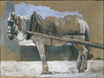 Cheval attelé