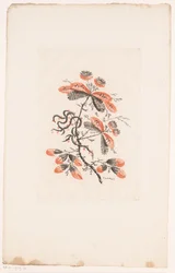 Fleurs et boutons (Fleurs Idéales)