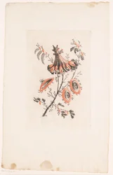 Fleurs en forme de parasol
