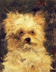 Tête de chien - Bob, 1876