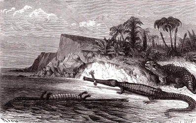 Le Téléosaure et l