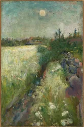 Prairie fleurie à Veierland
