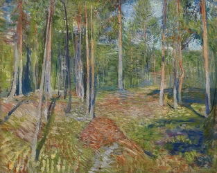 Forêt de pins