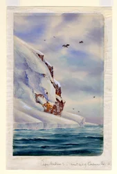 Cap Wadsworth, île Coulman