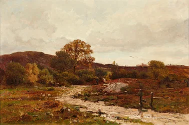 Paysage de lande